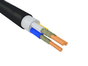 ППГнг(А)-FRHF 3х2,5(N, PE)-0,66 (РКЗ)